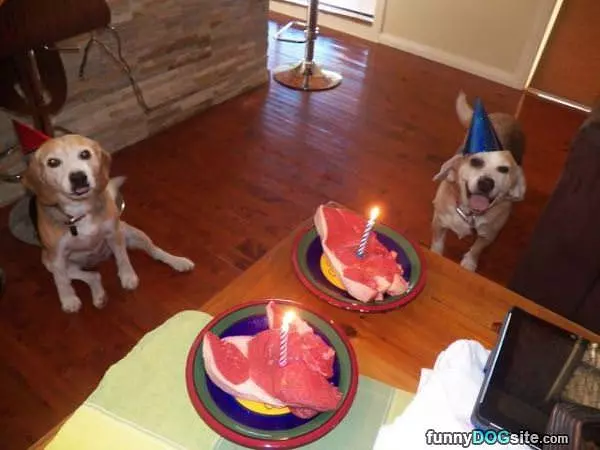 Our Birthday Party