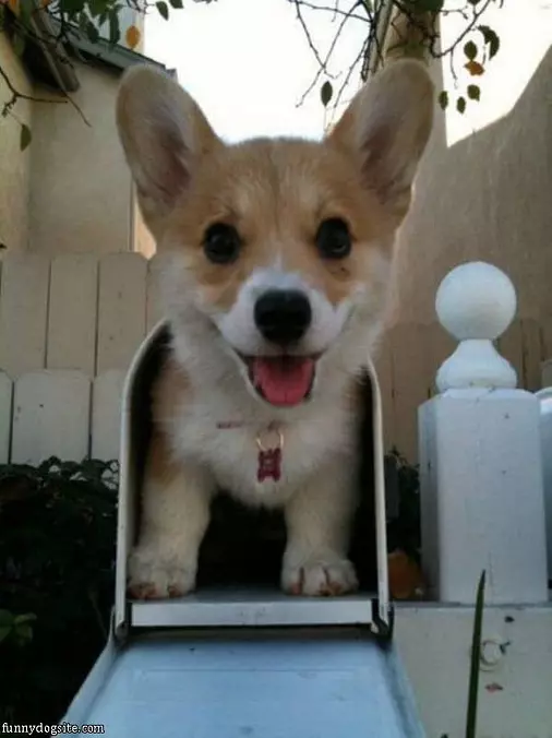 You Got Mail