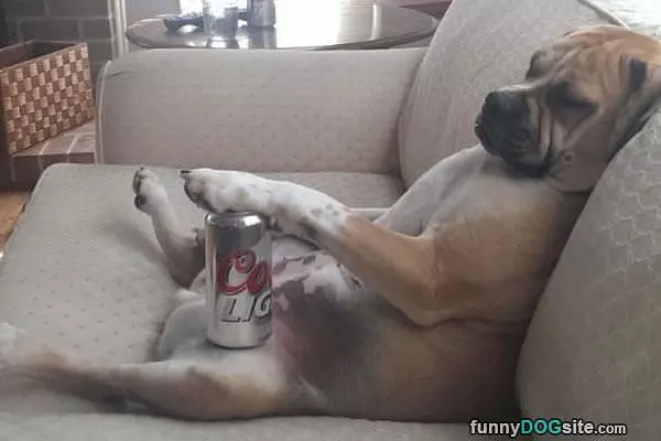 Cold Chillin