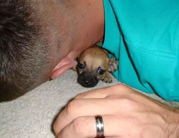 Tiny