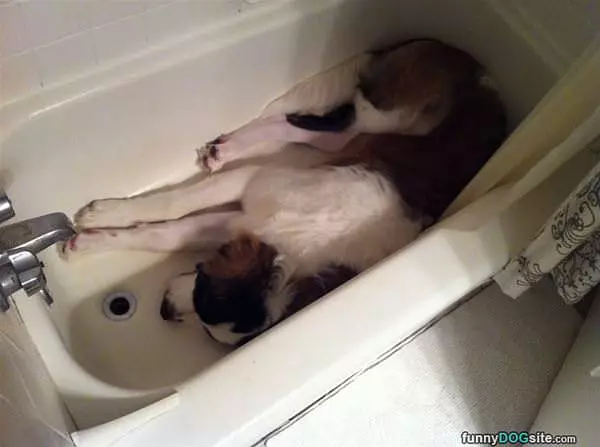 Hanging Out In The Tub