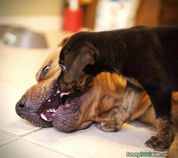 Share Those Snacks