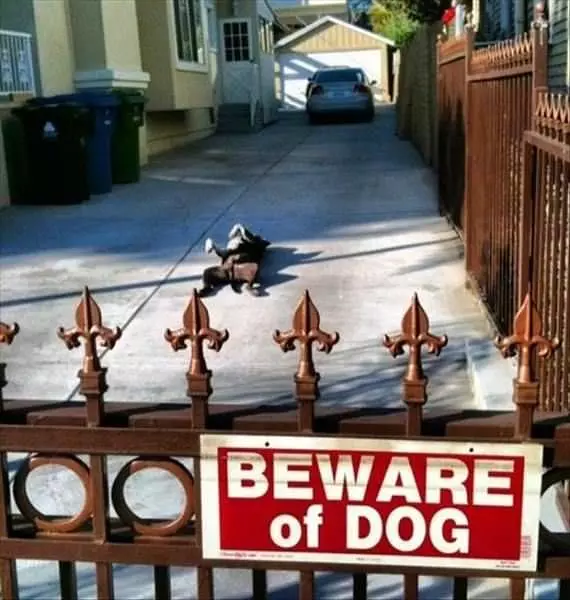 Beware Of The Dog