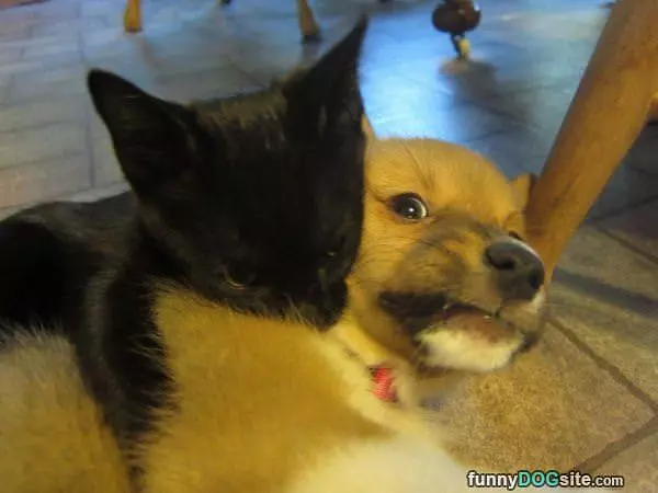 Prepare For Battle