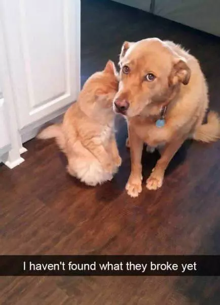 What Did They Break