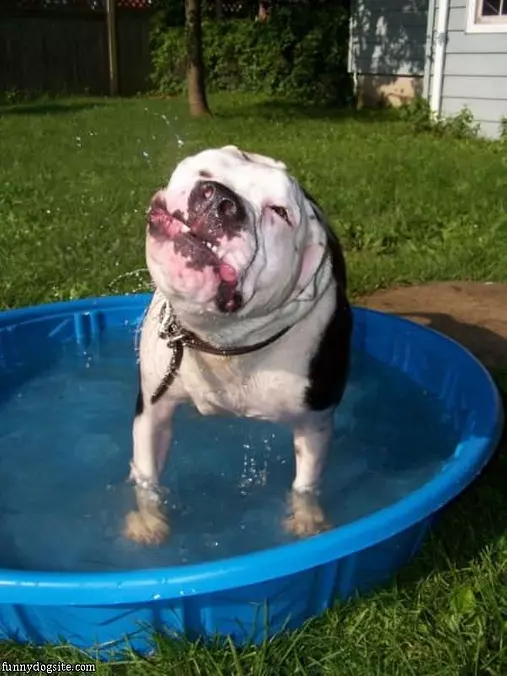 Hates The Bath