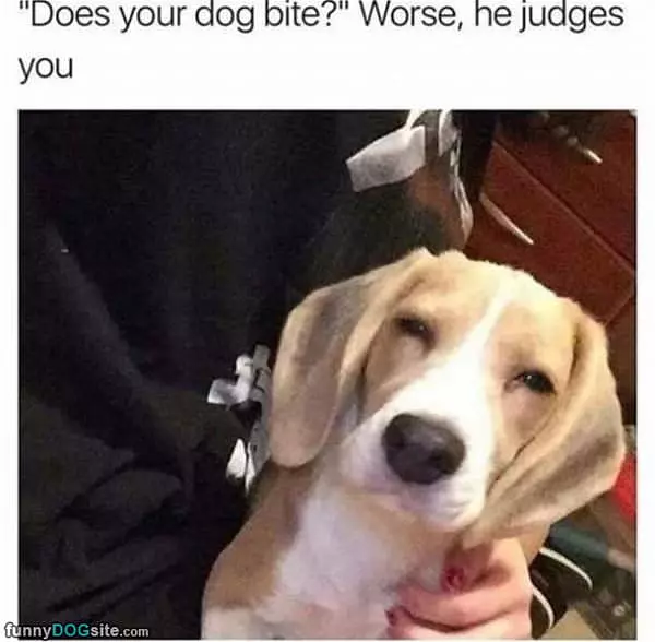 He Judges You