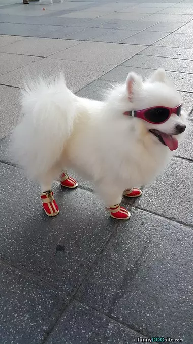 I Got My Cool Outfit
