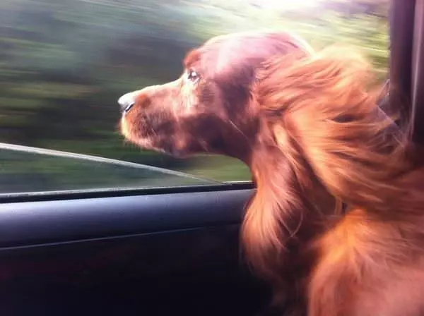 Blowing In The Breeze