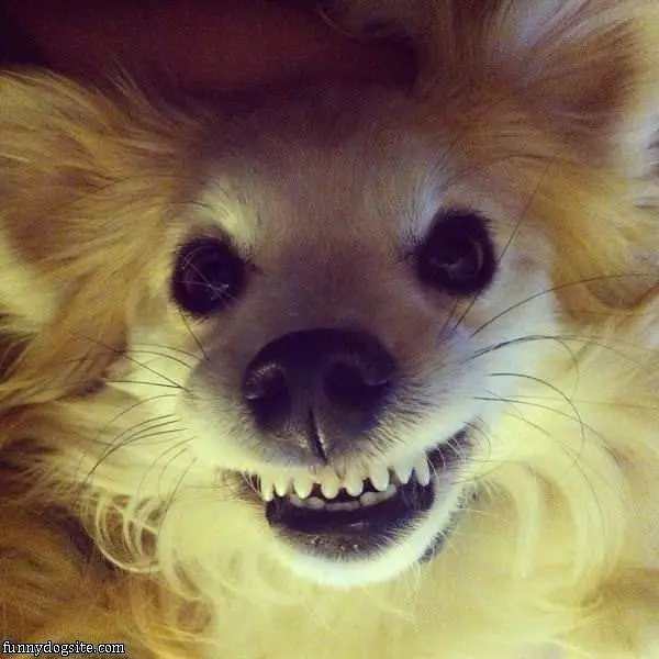 Huge Smile