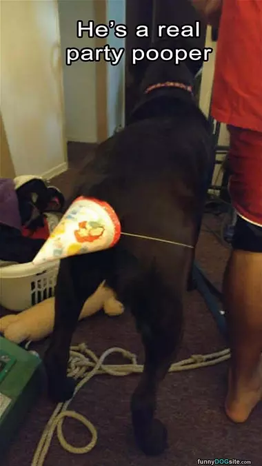 A Real Party Pooper