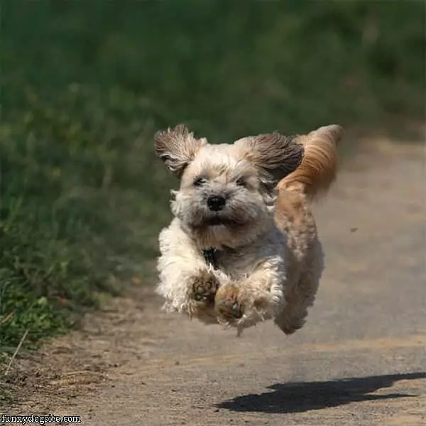 I Beleive I Can Fly