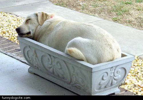 Nice Sleeping Spot