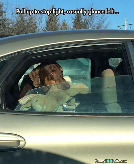 At A Stoplight
