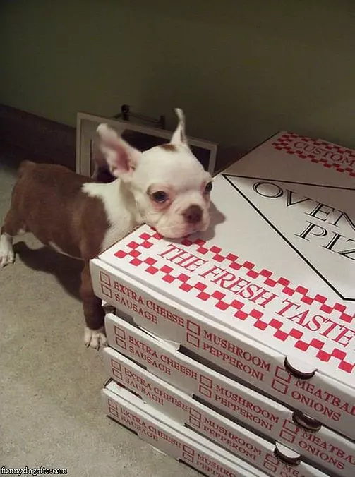 Can I Have Pizza