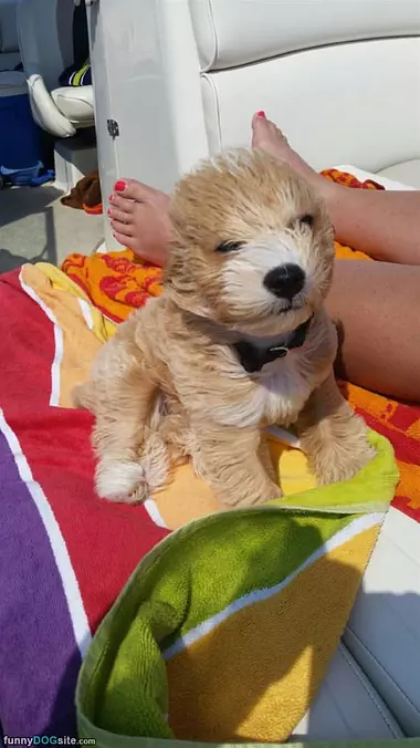 Very Windy Day