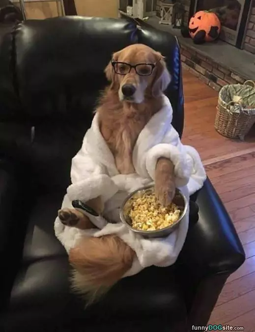 Watching A Nice Movie