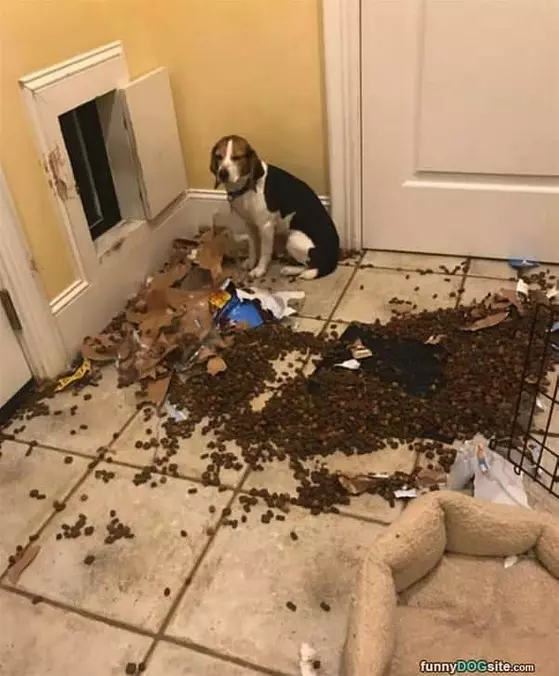 Got My Food Open