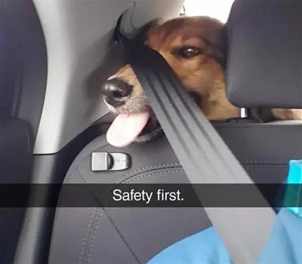 Safety First Please