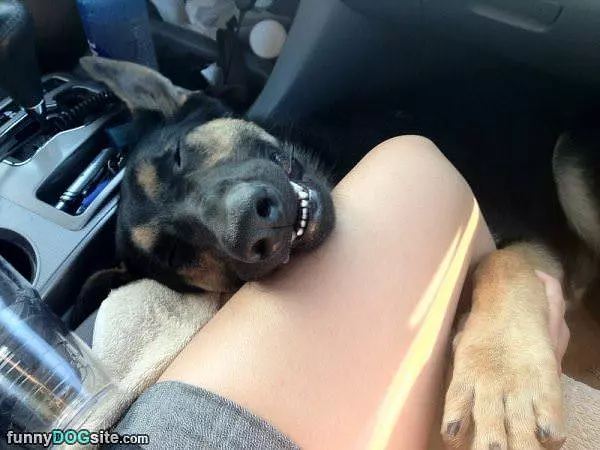 This Car Ride Makes Me Happy