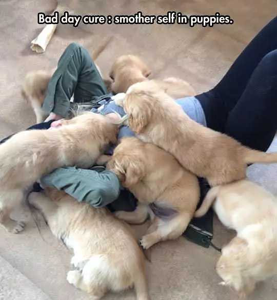Bad Day Cure