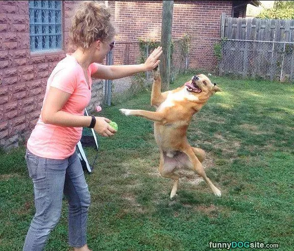 High Five