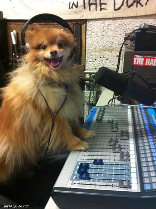 Turn Up The Jams