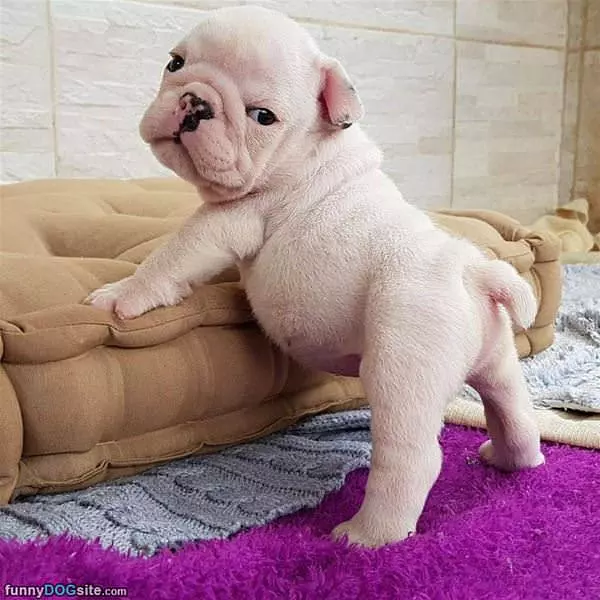 Ready To Go To Bed