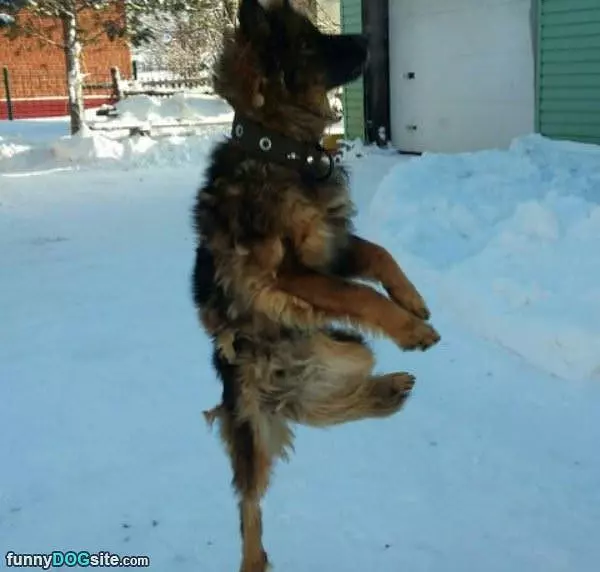 This Snow Is Cold
