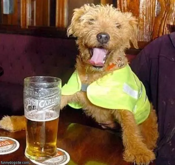 Another Beer Please