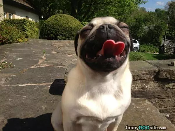 Catching Some Rays