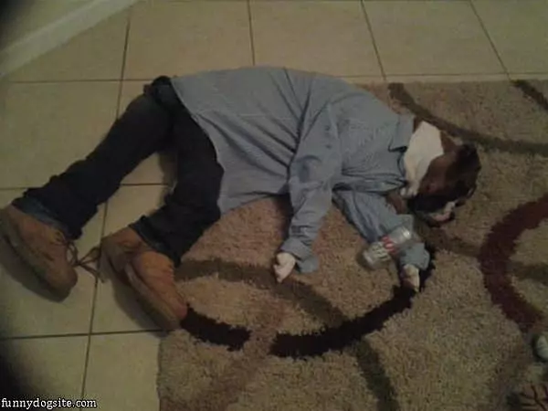 Ace Had A Long Day