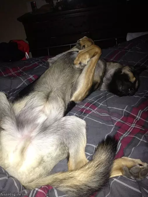 Its Quite A Lazy Morning