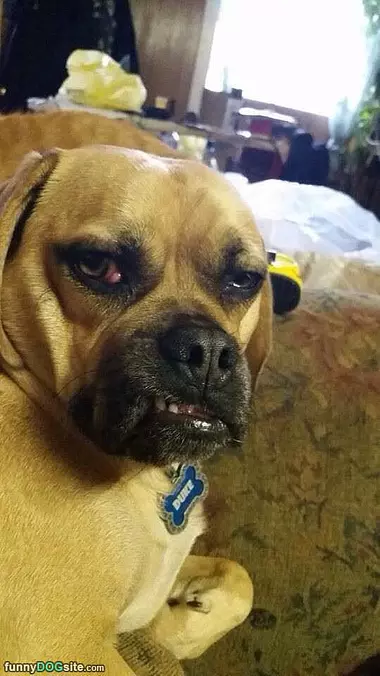 I Said No Photos