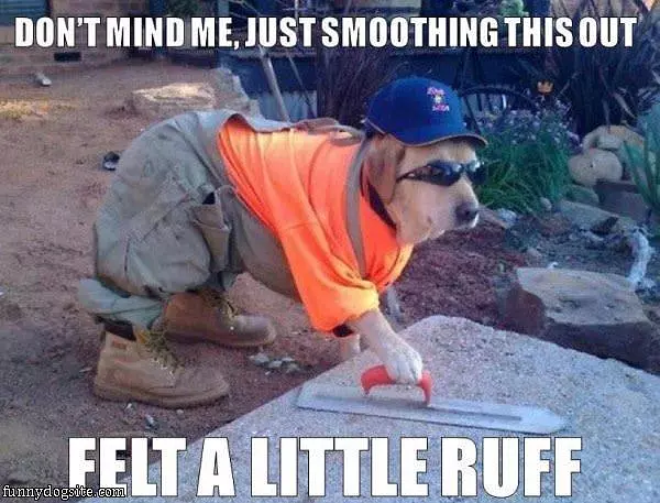 Ruff