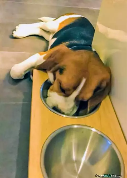 Sleepy Today