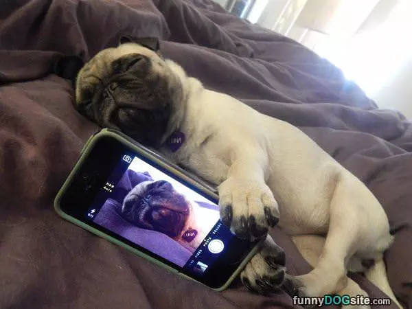 Little Selfie