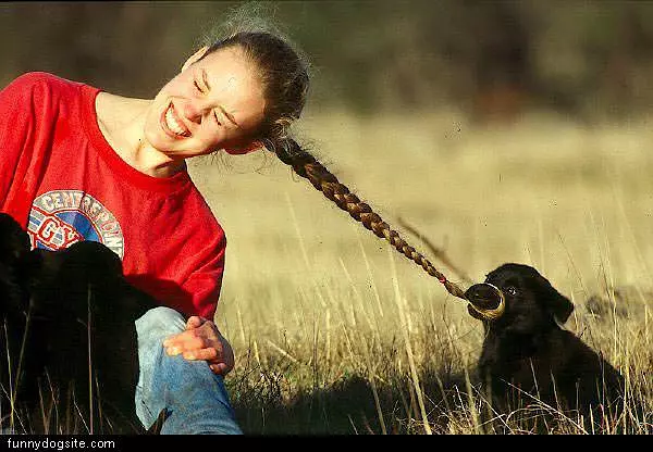 Black Dog Pulls Hair
