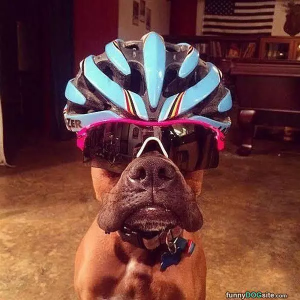 Time For A Ride
