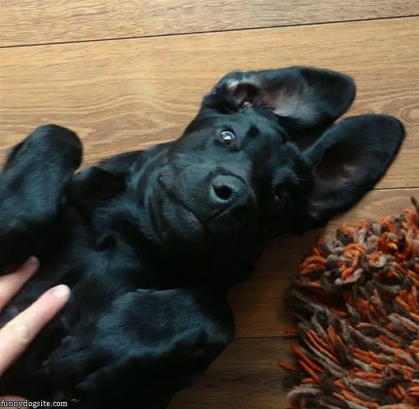 Max Being Cute