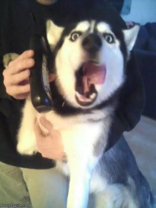 Important Phone Call