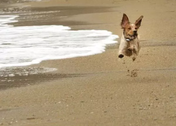 On The Beach