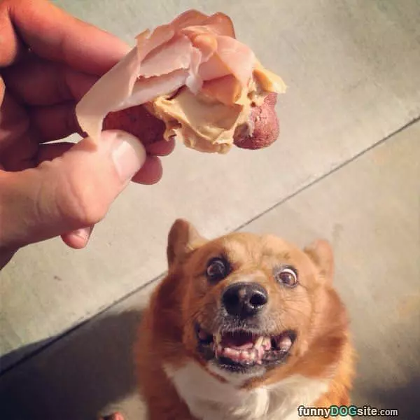 Yes That Looks Good