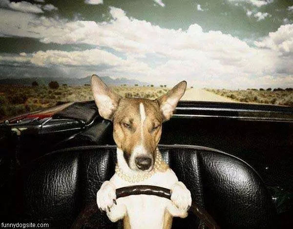Just Drivin