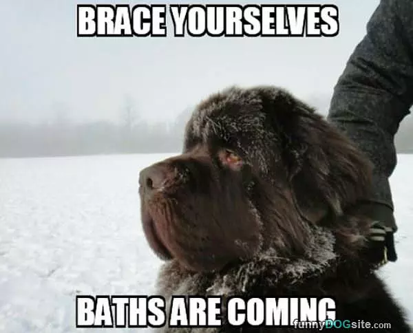 Brace Yourselfs