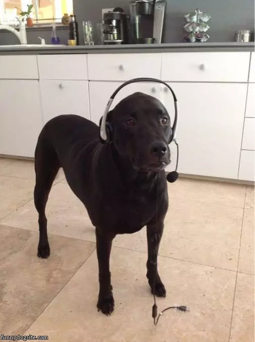Tech Support