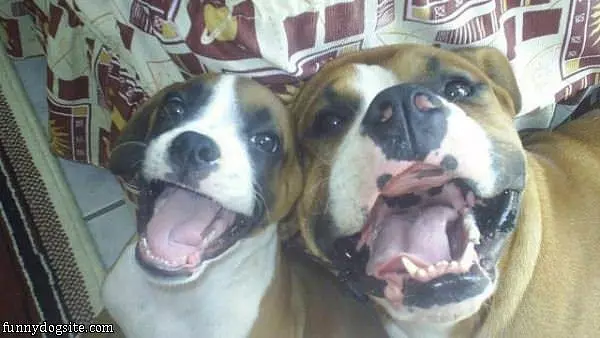 We Are So Happy