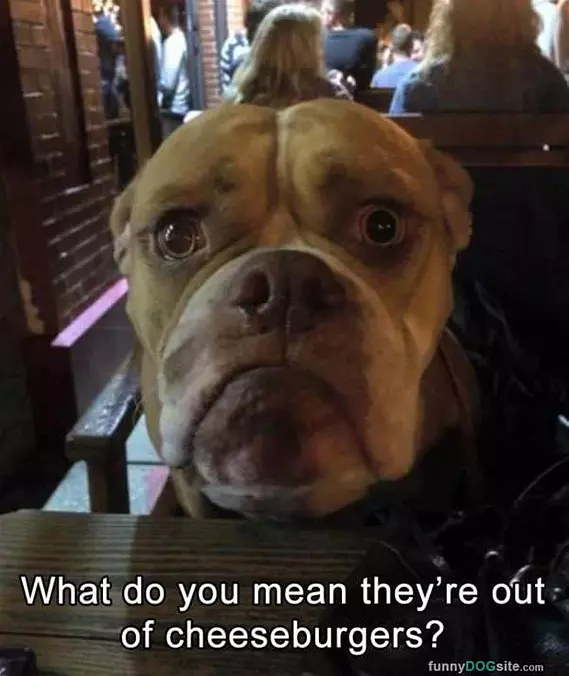 What Do You Mean