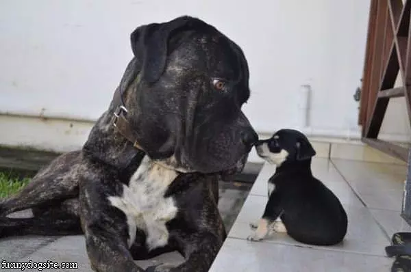 You Are So Small
