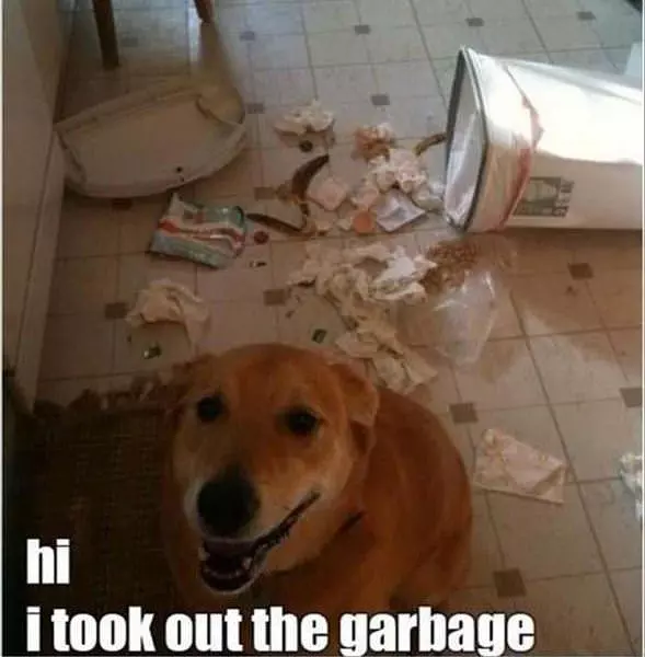 I Took Out The Box